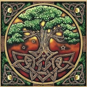 El Secreto de los Druidas