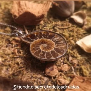 Colgante de ammonite