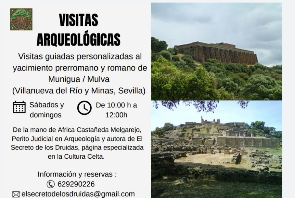 Visita guiada por la ciudad romana de Munigua.
